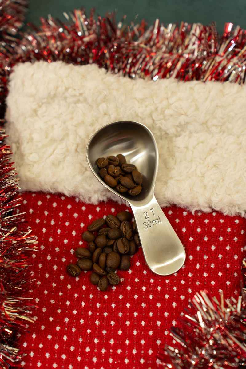 Airscape® Coffee Scoop