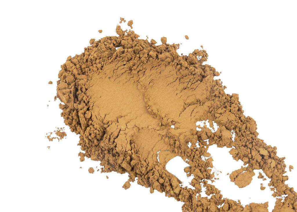 Hojicha - Uji, Kyoto