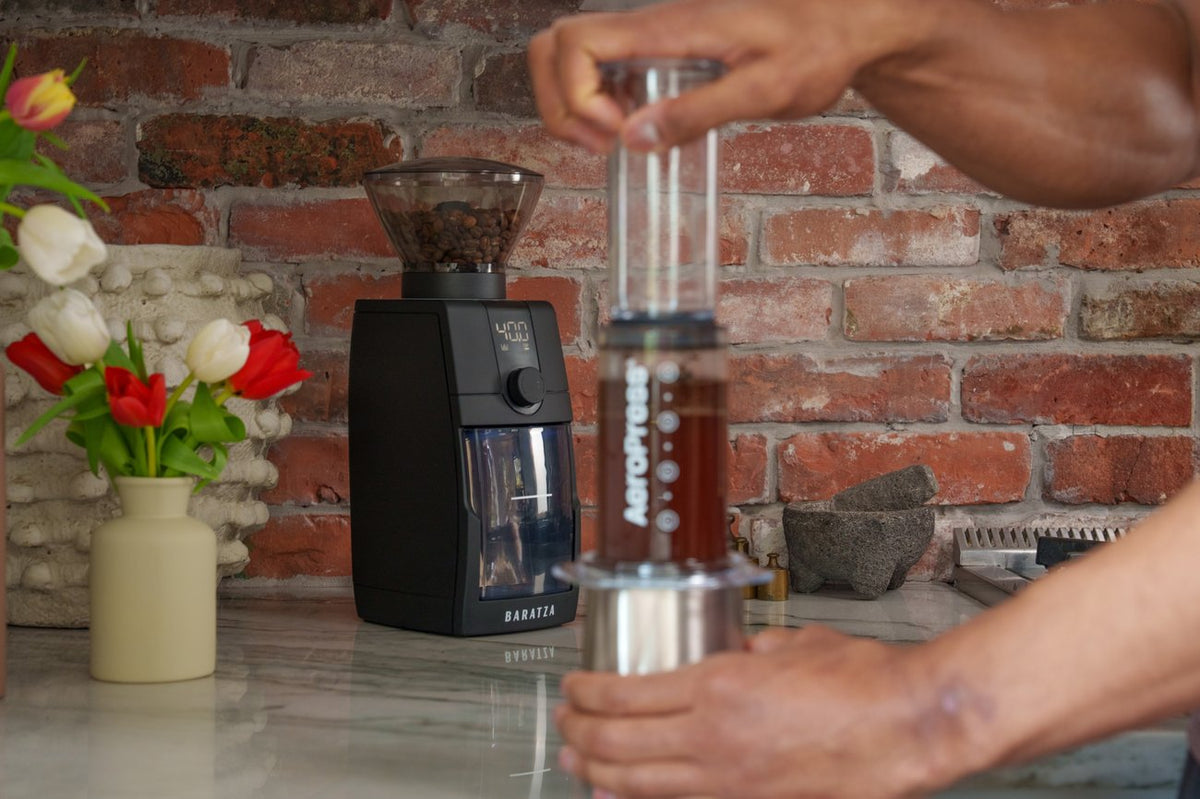 Baratza Encore ESP Pro grinding for immersion brewing