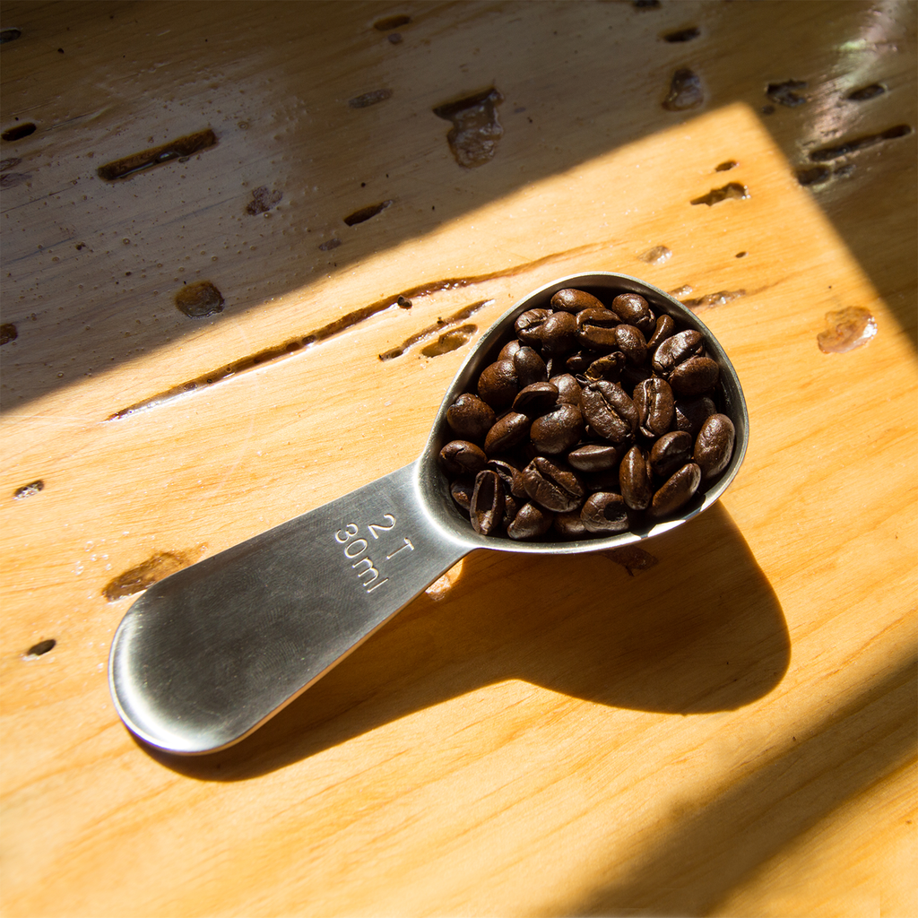 Airscape coffee scoop holding two tablespoons of beans