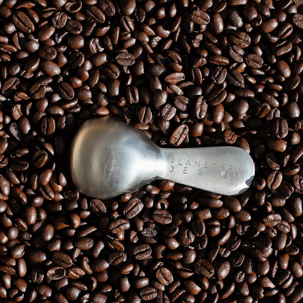 Airscape brushed steel coffee scoop in whole beans