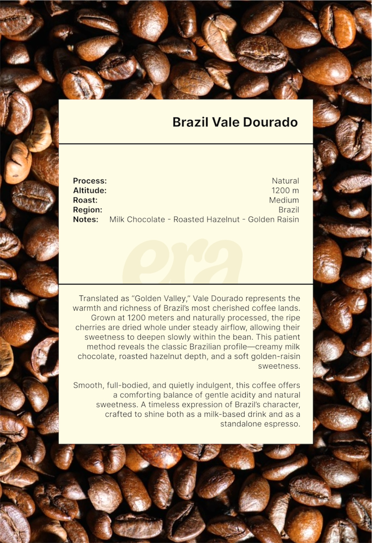Brazil Vale Dourado tasting notes - milk chocolate, roasted hazelnut, golden raisin